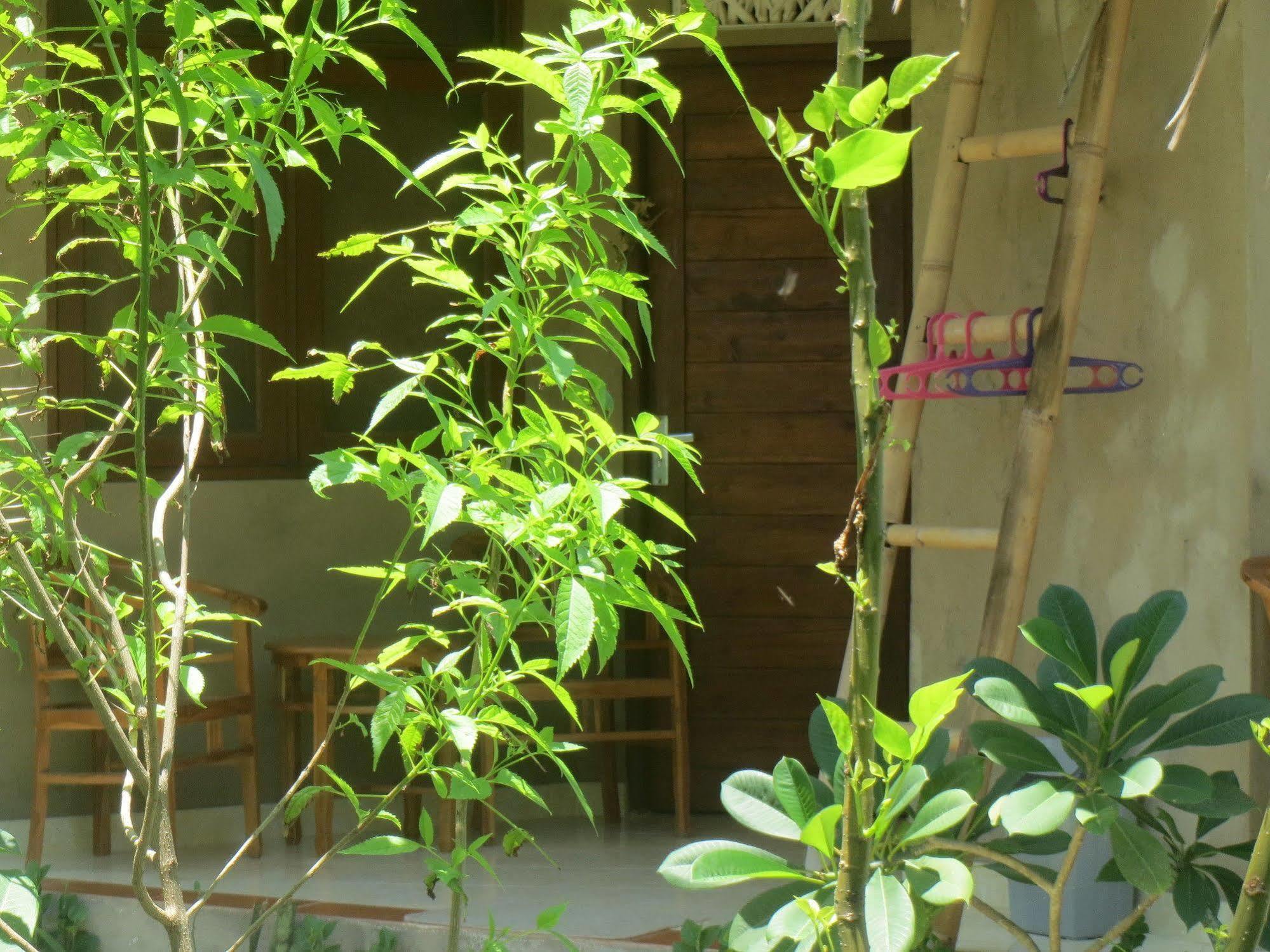 Amed Sari Beach Guesthouse Екстериор снимка