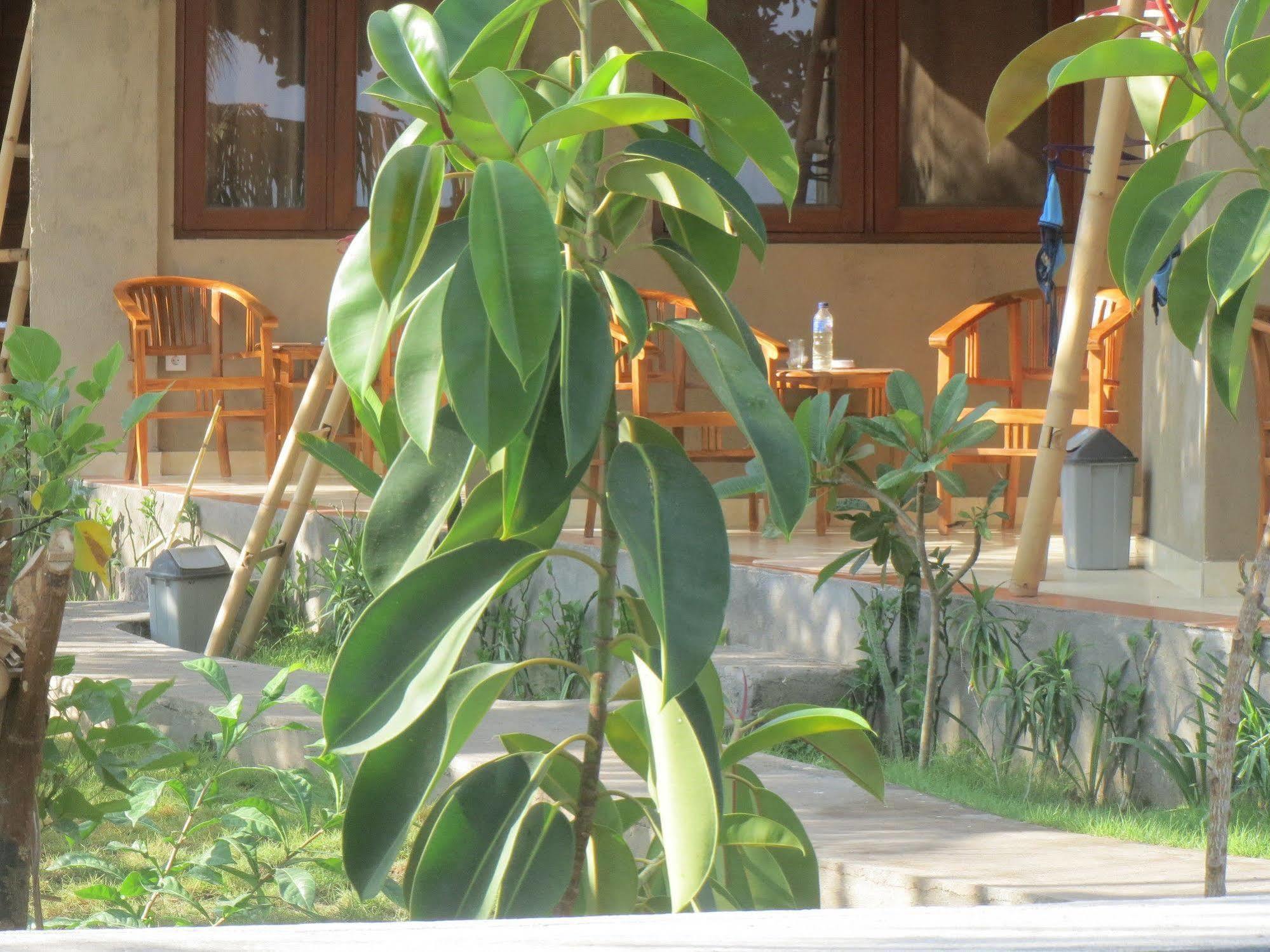 Amed Sari Beach Guesthouse Екстериор снимка