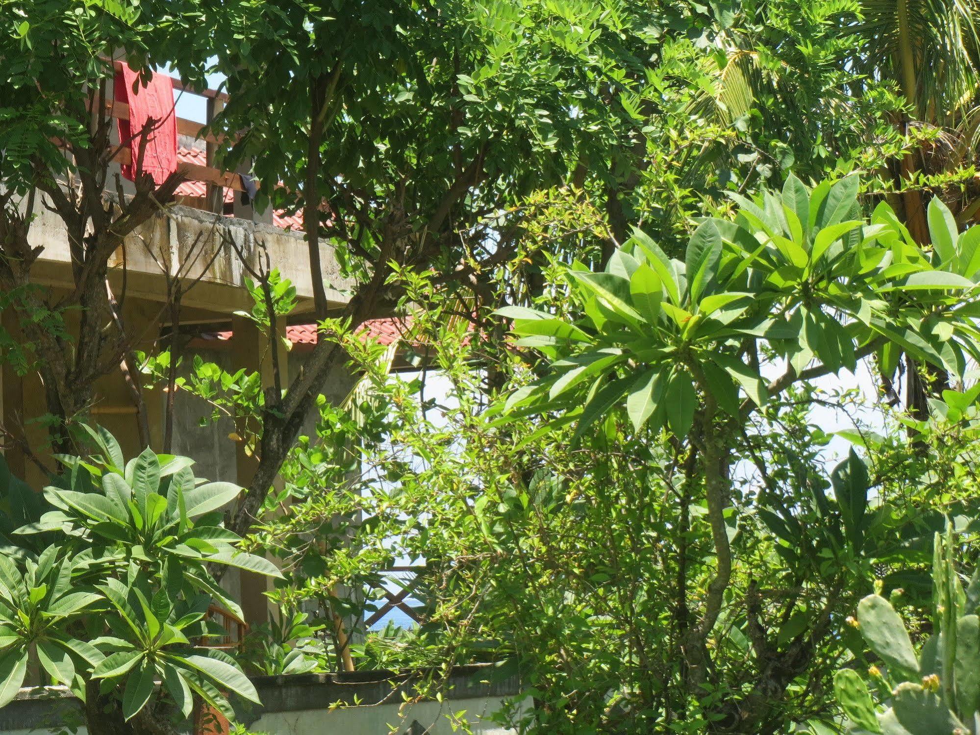 Amed Sari Beach Guesthouse Екстериор снимка