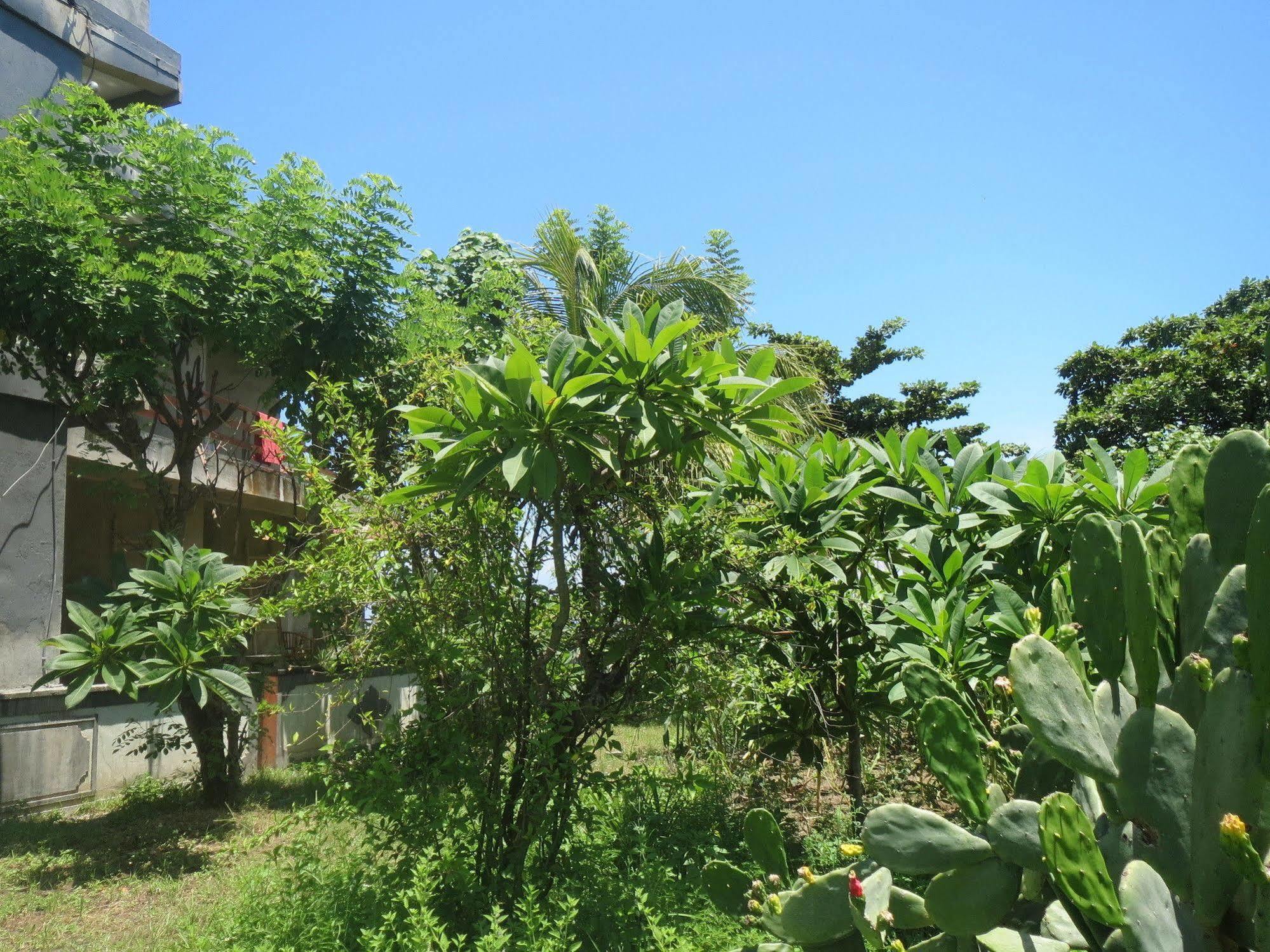 Amed Sari Beach Guesthouse Екстериор снимка